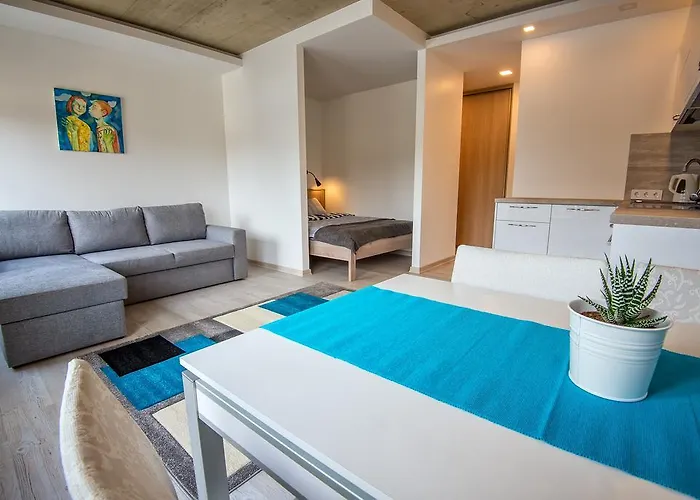 Family 公寓 维尔纽斯